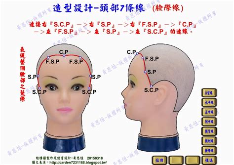 頭部七條基準線中 左頸側點連至右頸側點的是